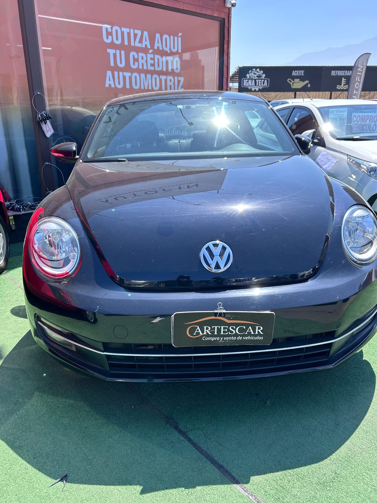 VOLKSWAGEN Beetle 